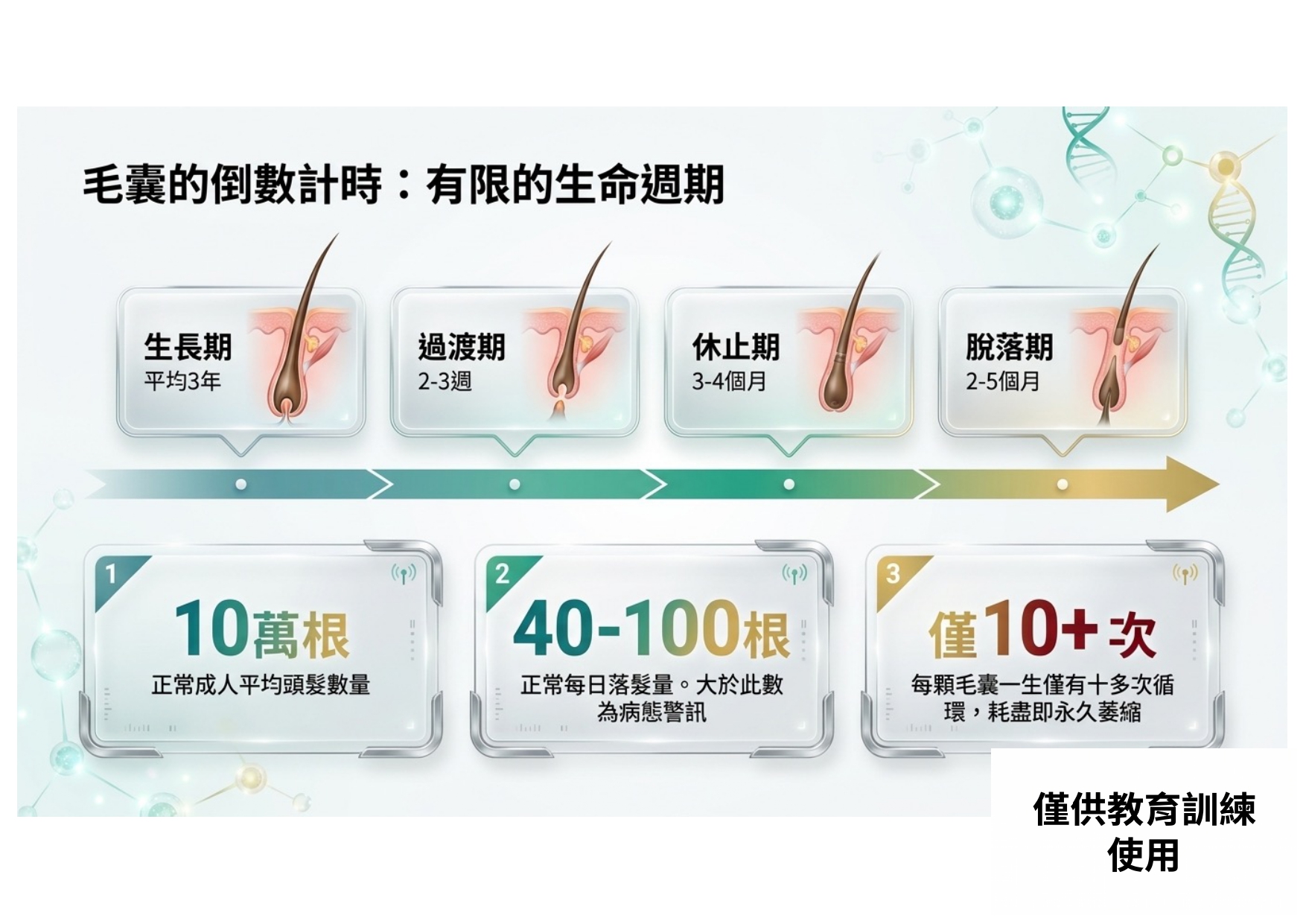 植泌X外泌體與頭皮保養 (2)