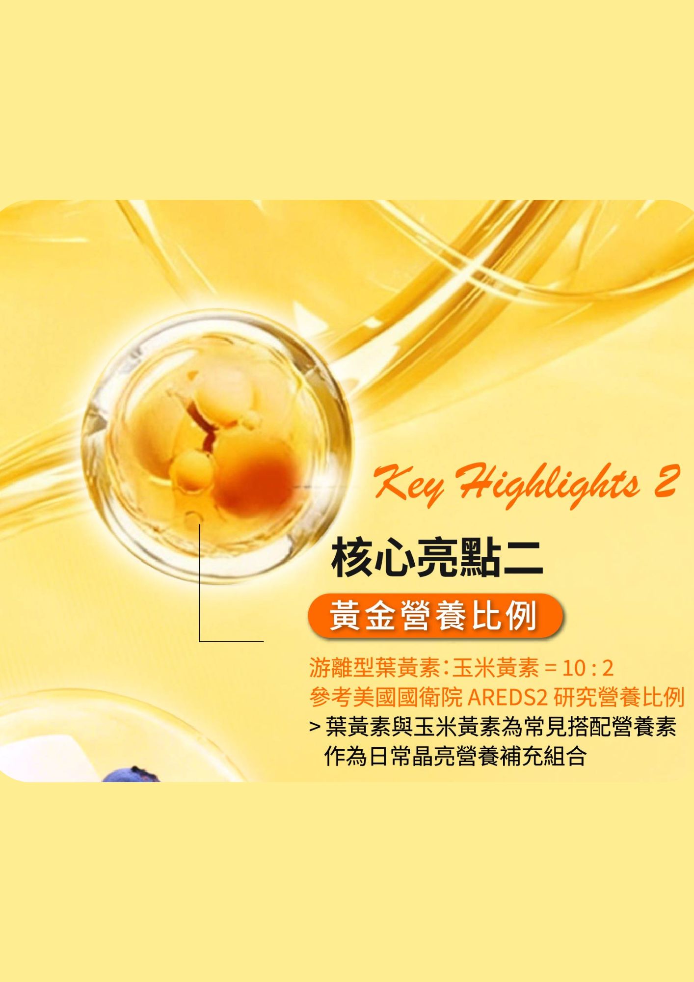 超棒清晰樂2026 (4)