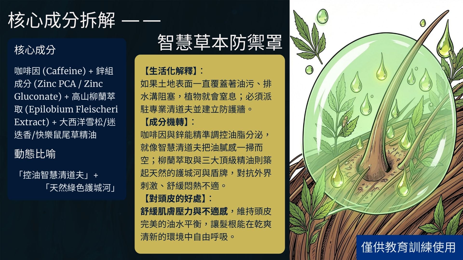 植泌髮根育華養髮液4 (5)
